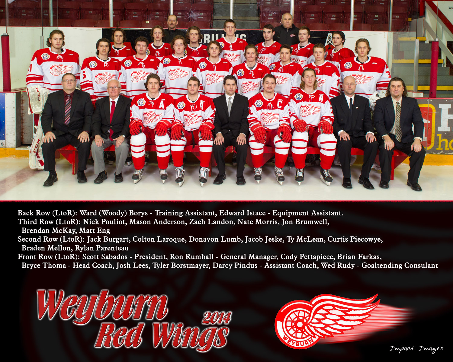 Wings 2013-2014