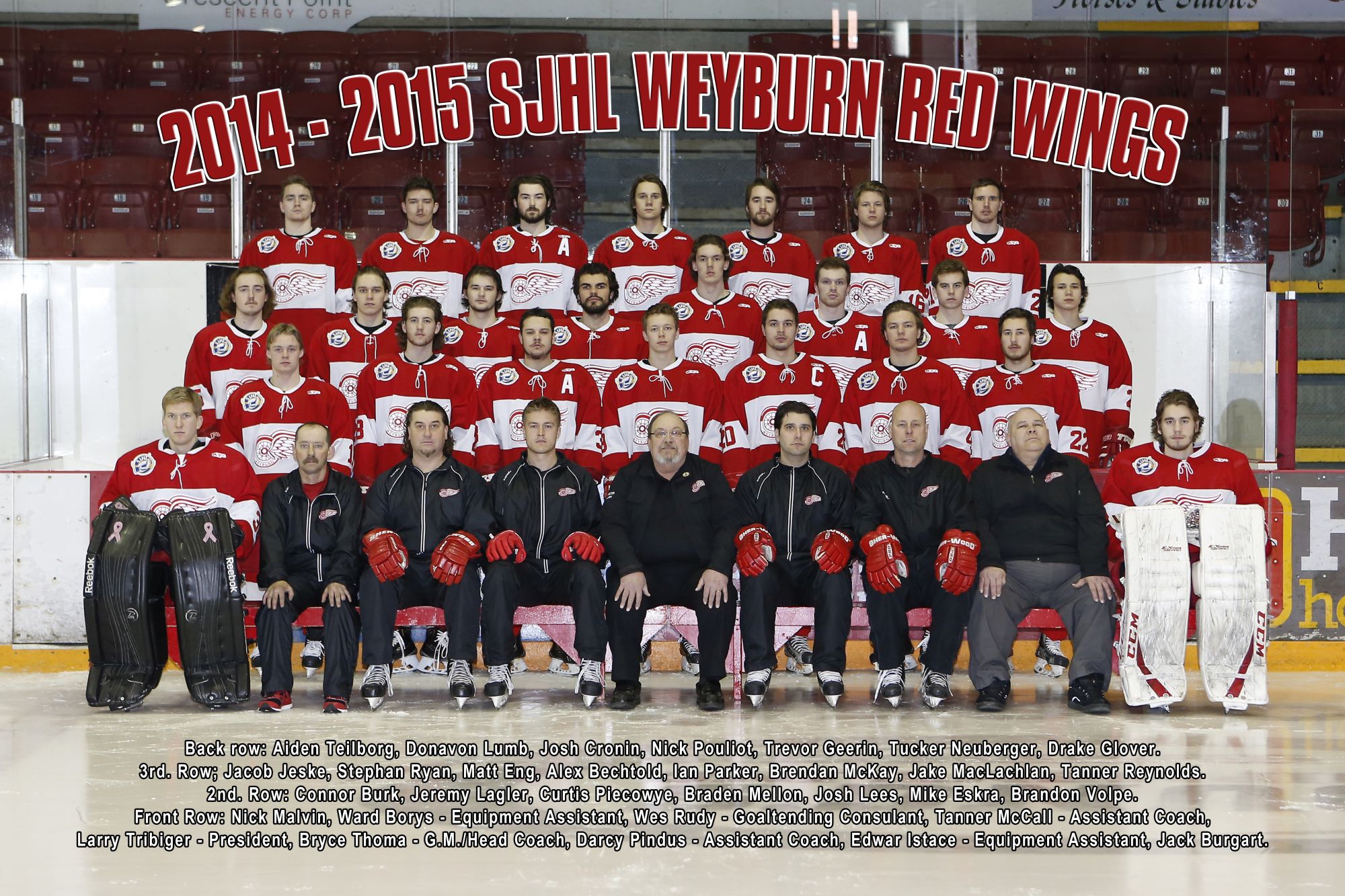 Wings 2014-2015