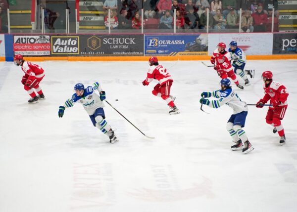 Red Wings Now in Do or Die Situation